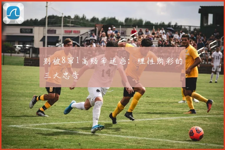 别被8窜1高赔率迷惑:理性购彩的三大忠告