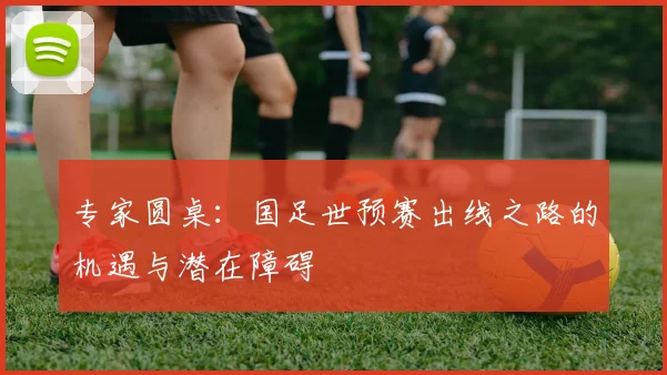 专家圆桌:国足世预赛出线之路的机遇与潜在障碍