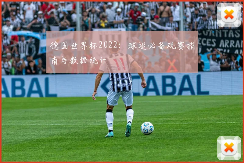 德国世界杯2022：球迷必备观赛指南与数据统计